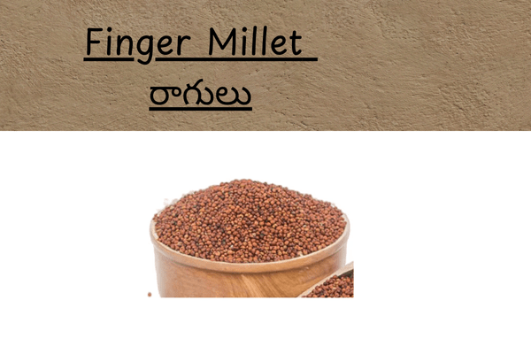 Types of millets in Telugu: Finger Millet (రాగులు) Benefits_ ragi java 