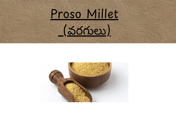 Types of Millets In Telugu: Barnyard millet in telugu uses