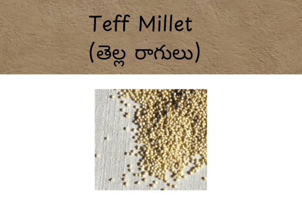 Types of Millets In Telugu: Teff Millet (తెల్ల రాగులు) Uses and Ragi Java Benefits