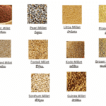 Best Top 10 Types of Millets In Telugu and english with pictures- Chirudhanyalu perlu