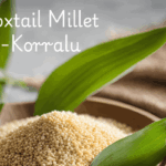 Foxtail Millet In Telugu Benefits For Weight Loss