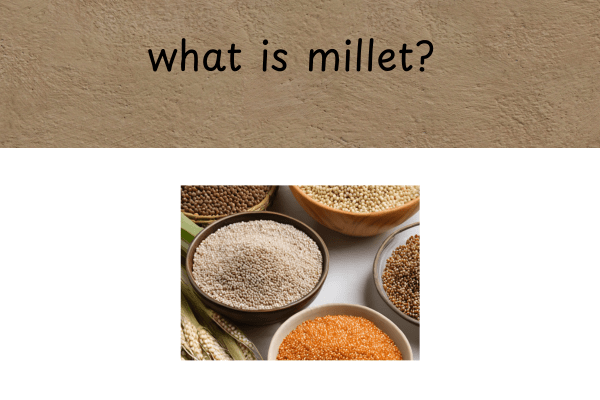 Types Of Millets In Telugu | what is millet?