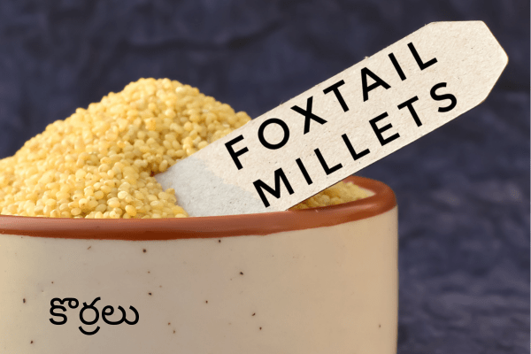 Types of Millets In Telugu: Foxtail Millet (కొర్రలు) Benefits