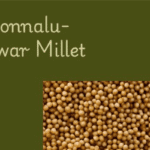 Jonnalu Benefits In Telugu
