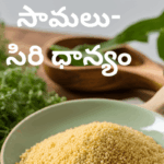 Samalu Health Benefits For Weight Loss
