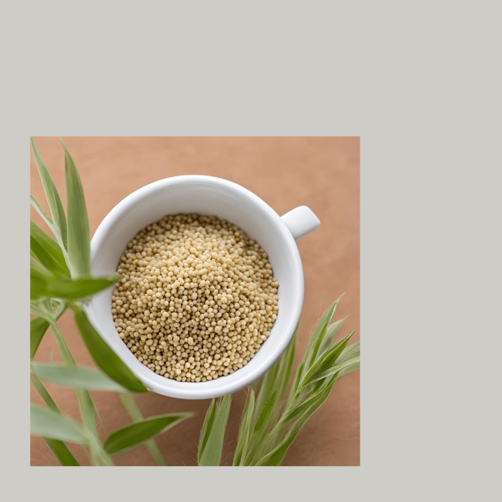 Samalu Health Benefits_ LIttle MIllets-uses