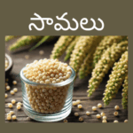 Little millet in telugu benefits