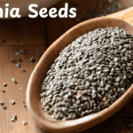 Chia Seeds Benefits in telugu