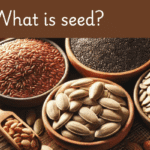 Seeds health benefits in telugu: what is seed?