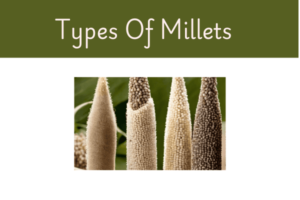 Different Types Of Millets