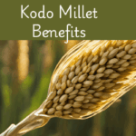 Kodo millet health benefits