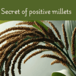 List of 5 positive Millets