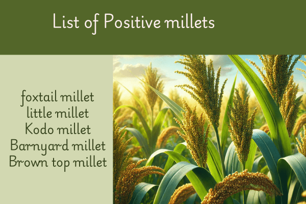 List of 5 positive millets