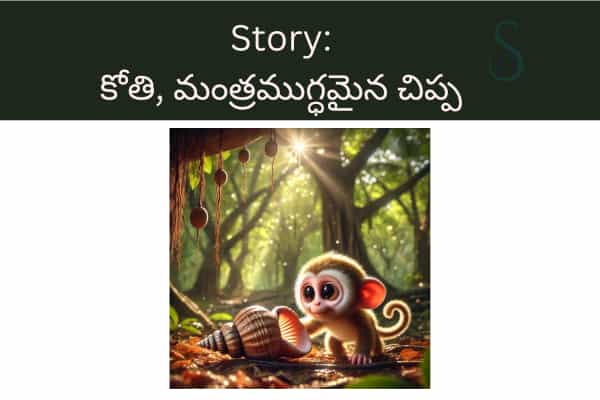 Small stories in Telugu: కోతి, మంత్రముగ్ధమైన చిప్ప