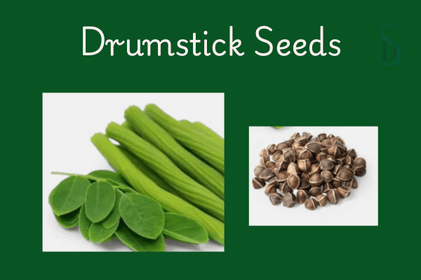 5 
Drumstick Seeds Benefits