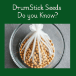Top 5 Drumstick Seeds Benefits