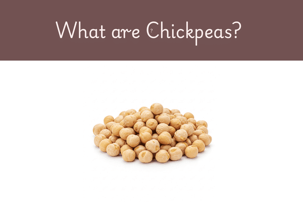Types of chickpeas in Telugu: What is the meaning of Name chickpeas in Telugu? shanagalu, sanagalu, basine