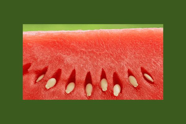 Watermelon seeds benefits For female Fertility: What is mean by watermelon seeds in Telugu?