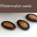 Watermelon seeds benefits for female fertility