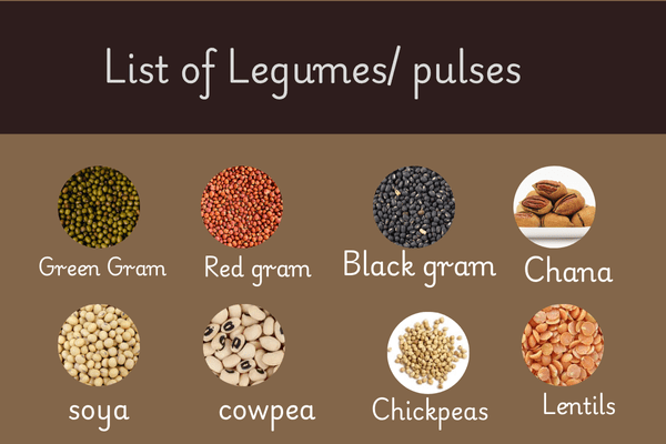 List of edible seeds Legumes Names with Pictures like green gram, red gram, black gram, chana, cowpea, chickpeas, lentils, soya.