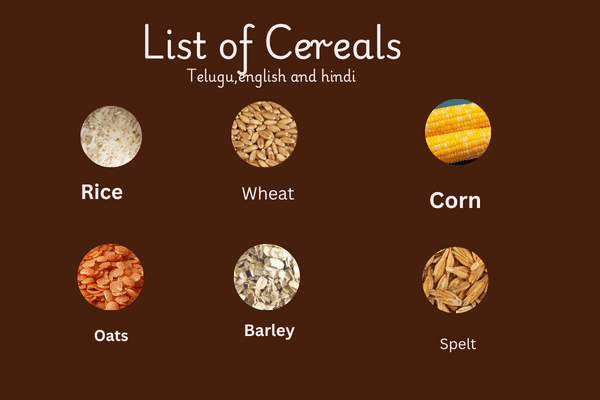List of Grains Millets Pulses Cereals And Seeds| Types: What is the meaning of name cereals and list of cereals with pictures in telugu, english and hindi.