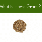Horse gram Benefits in telugu