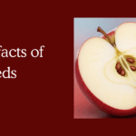 5 shocking fun facts of seeds