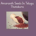 amaranth seeds in telugu | Leaves | Benefits