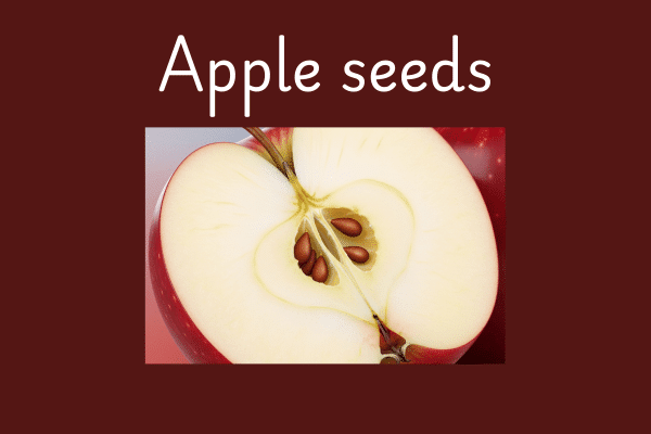 Fun Facts About Edible Seeds: Apple Seeds Can Be a Little Poison