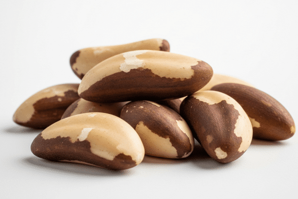 Brazil nuts benefits for female fertility : Shape of the Brazil Nuts