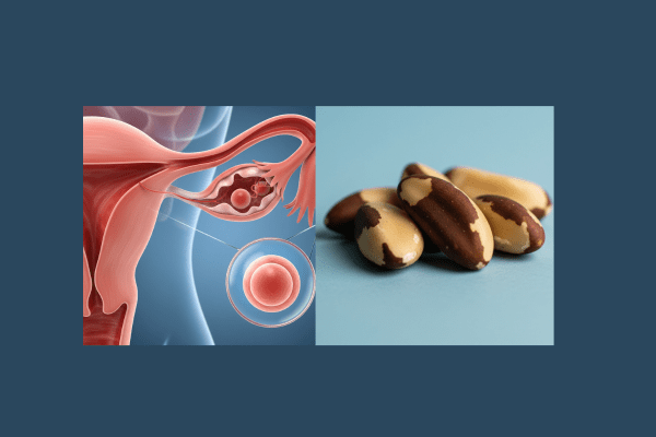 Top 5 brazil nuts benefits for female fertility