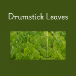 Easy and Healthy Drumstick Leaves Recipes