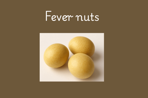 Fever Nut Benefits : What is fever nut?
