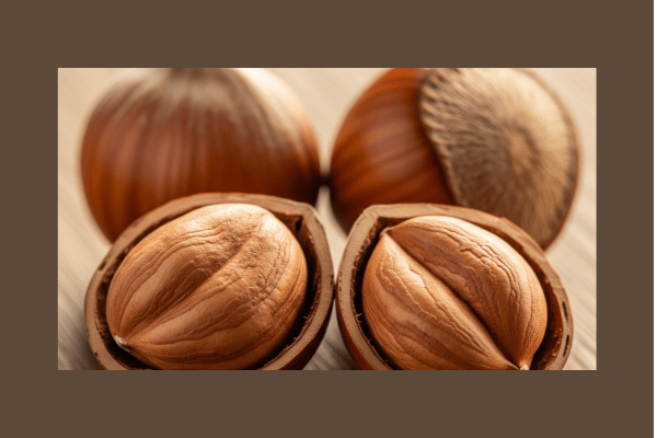 Hazelnut Benefits for Female   Fertility and Wellness