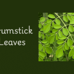 Healthy drumstick leaves recipes