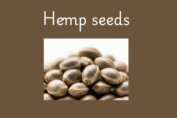 Fun Facts About Edible Seeds : Hemp Seeds Are from a Funny Plan