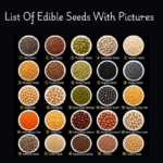 List Of Edible Seeds with pictures