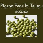 Pigeon Pea in telugu