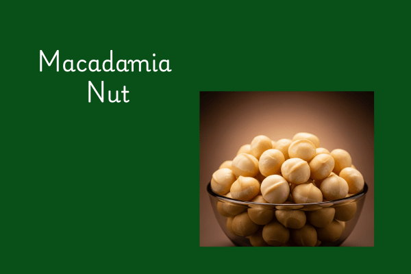 Macadamia nut