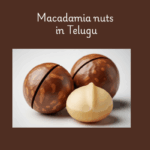 Macadamia nuts in Telugu
