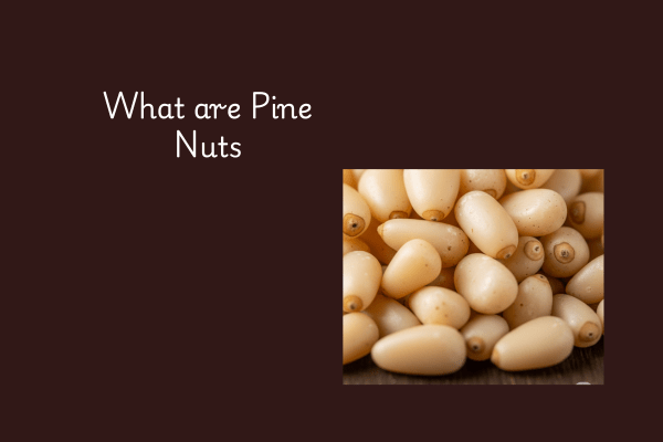 What are Pine Nuts