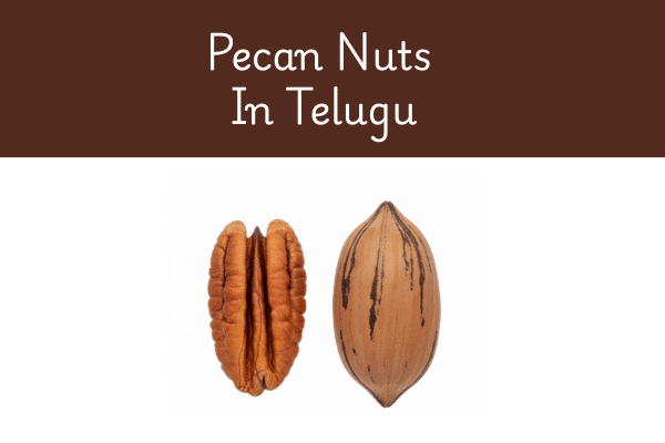 pecan nuts in telugu