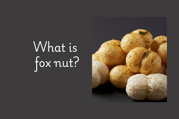 What is fox nut?