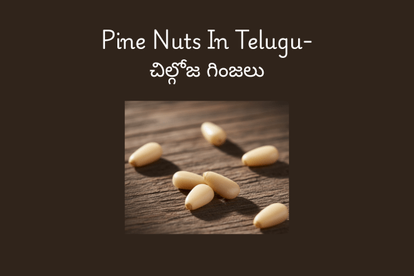 What are Pine nuts In Telugu: పైన్ నట్స్ (Pine Nuts) తెలుగులో 'చిల్గోజ గింజలు' అని పిలుస్తూ ఉంటారు