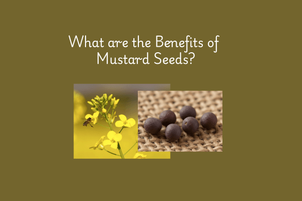 Best 10 Benefits of Mustard Seeds In Telugu