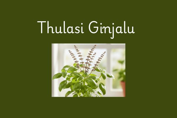 What are Sabja Seeds In Telugu?