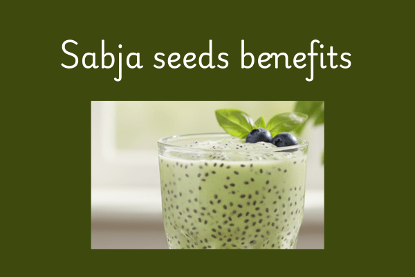 10 Sabja Seeds Benefits in Telugu
