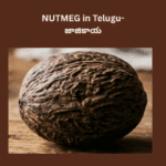 Nutmeg name meaning in telugu- jajikaya