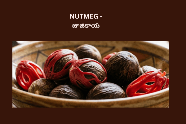 Nutmeg in telugu- jajikaya