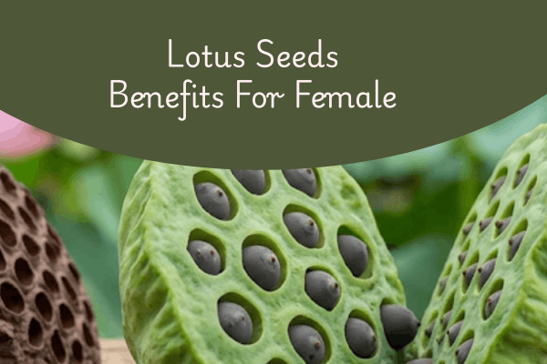 Top 10 Lotus Flower Seeds Health Benefits For Female